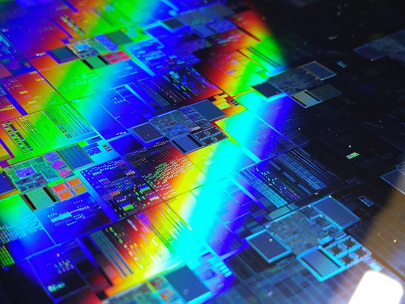 Un wafer di silicio su cui vengono realizzati i microchip
