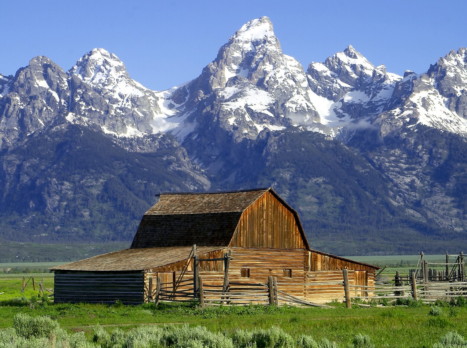 Il fienile di Mormon Row ai piedi dei Grand Teton, a Jackson Hole